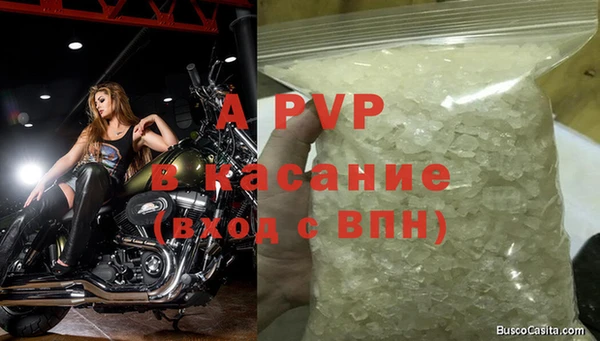 индика Рославль