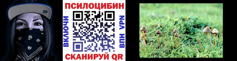 что такое   Кировград  Псилоцибиновые грибы Magic Shrooms 
